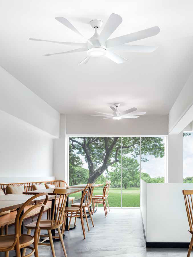 Ventilatore da soffitto, Fiji, 132cm, corpo nero/ pale con design foglia  di palma, con luce, Lba